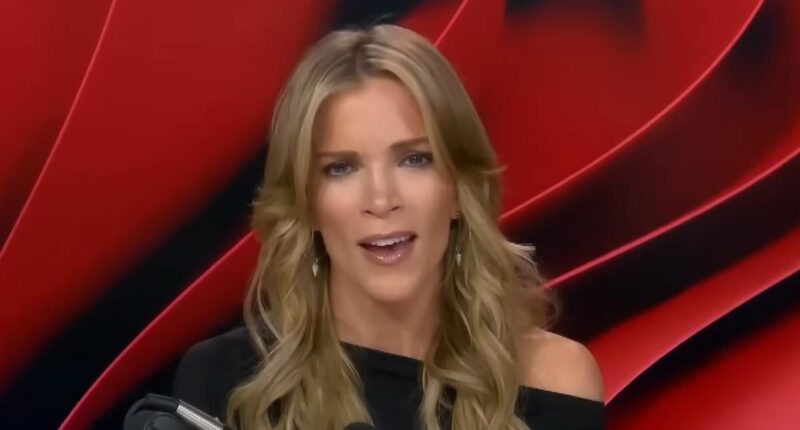 Megyn Kelly blasts Hilaria Baldwin for 'keeping herself in the news'
