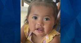 Michigan Mother Smothers Tot Between Car Seat and Door, Gets 45 Days in Jail