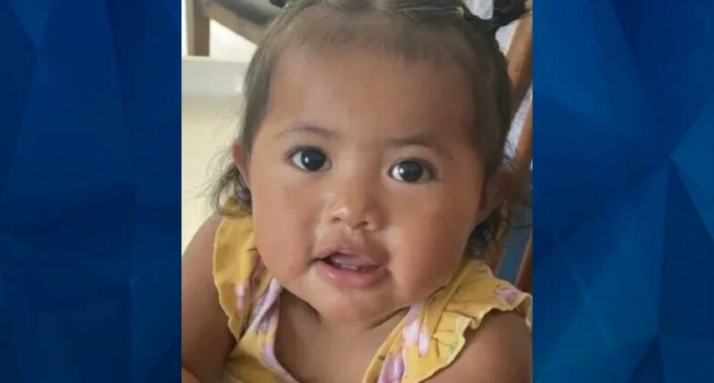 Michigan Mother Smothers Tot Between Car Seat and Door, Gets 45 Days in Jail