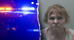 Michigan babysitter accused of sexually abusing children in her care faces 47 charges, police say