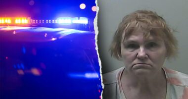 Michigan babysitter accused of sexually abusing children in her care faces 47 charges, police say