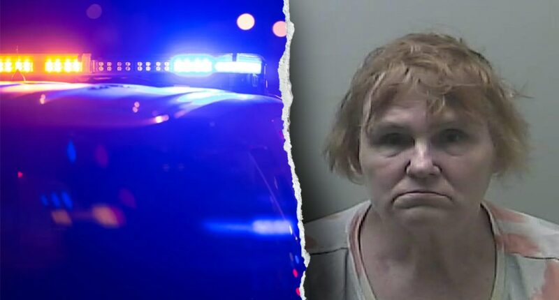 Michigan babysitter accused of sexually abusing children in her care faces 47 charges, police say