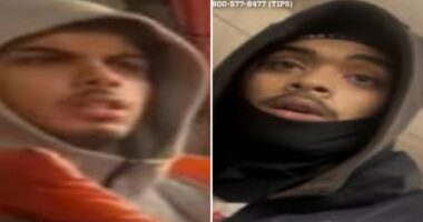 Midtown subway attack: 1 slashed, 1 shoved onto tracks