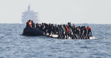 Migrant deported under 'one in, one out' scheme RETURNS to UK