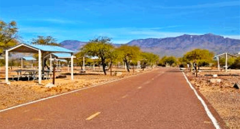 Migrants charged for shooting guns in crowded national park
