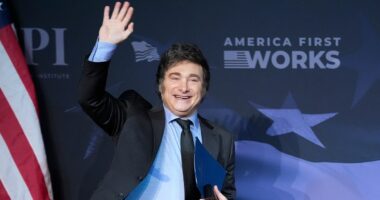 Milei scores historic win in Argentina midterms, tightens grip on Congress
