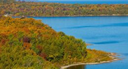 Millions are at risk after cancer-causing 'forever chemicals' are detected in America's largest water supply