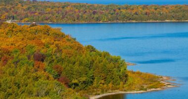 Millions are at risk after cancer-causing 'forever chemicals' are detected in America's largest water supply
