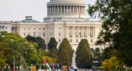 Millions join 'No Kings' protests across the USA