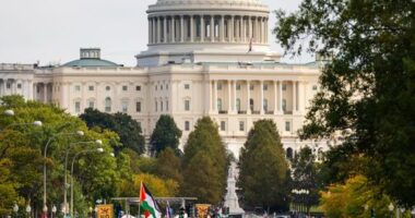 Millions join 'No Kings' protests across the USA