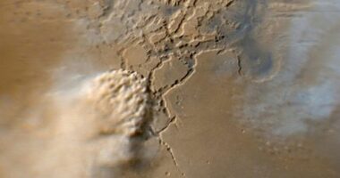 Mini tornadoes on Mars reveal surprising force of red planet's winds