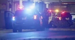 Mitt Romney's sister-in-law found dead on street near shopping mall
