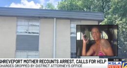 Mom jailed for infestation she asked landlord to fix: Lawyer