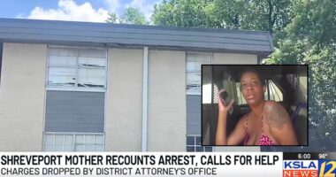 Mom jailed for infestation she asked landlord to fix: Lawyer