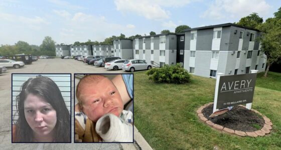 Tragic Incident: Baby Left in Car Seat for 14 Hours - Internewscast Journal