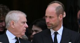 Moment Andrew and William's feud was revealed: Frosty exchange at the Duchess of Kent's funeral was the first public sign that William would become the 'driving force' in ousting his uncle