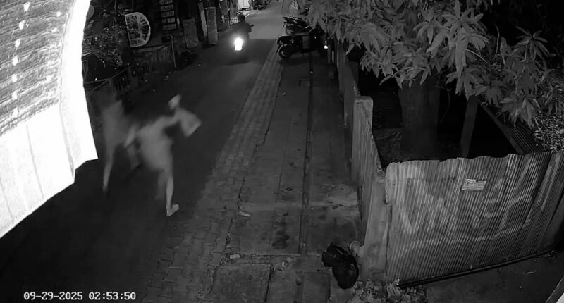 Moment British teenagers chase after thief who snatched their handbag