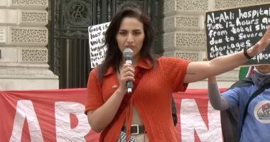 Moment NHS junior doctor describes armed Palestinian fighters as 'heroes' as she faces second tribunal over 'antisemitic' outbursts