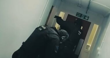 Moment armed officers find three bodies in block of flats
