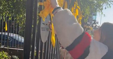 Moment bystanders confront woman as she cuts down ribbons for hostages