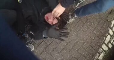 Moment police arrest ringleader outside B&Q for torching warehouse