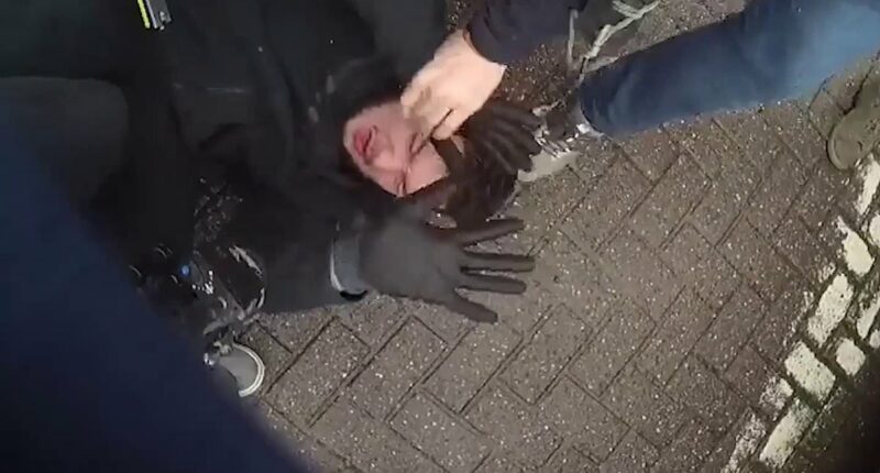 Moment police arrest ringleader outside B&Q for torching warehouse