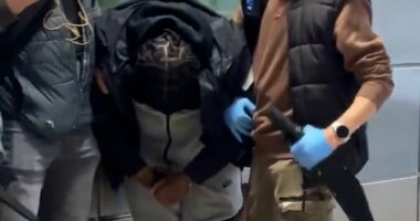 Moment police find two machetes while stopping teens at tube station 