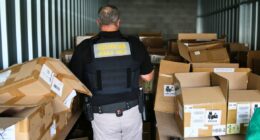 More than $2.3 million in illicit tobacco seized in northern NSW