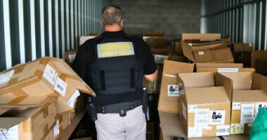 More than $2.3 million in illicit tobacco seized in northern NSW
