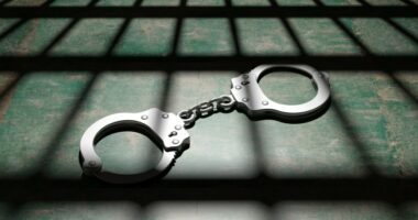 Mother and 2 others charged in death of child found in storage bin outside Connecticut home