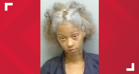 Mother Faces Murder Charges After Son Tragically Dies in Car Window ...