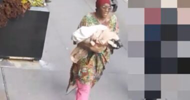 Mother of baby abandoned at Penn Station in New York City arrested in Queens