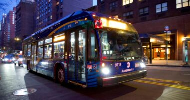 Much better buses are within reach
