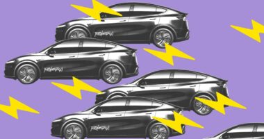 Musk wants to get rid of Tesla’s robotaxi babysitters ‘by the end of the year’