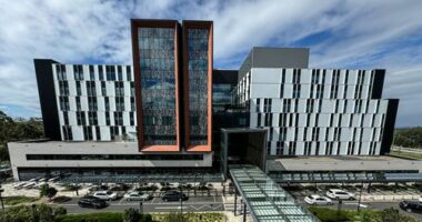NSW Government spends $190 million to bring major hospital back into public hands