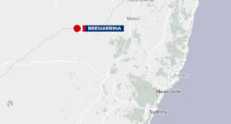 NSW Police release public appeal to solve mystery of body found in burnt out car