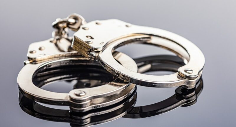 NYC man in cop costume arrested for pulling knife at NJ Halloween party