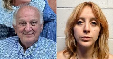 Nanny found with suspected psychedelic mushrooms accused of fatal stabbing, screwdriver attack on family