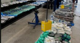 Laredo seized vehicles
