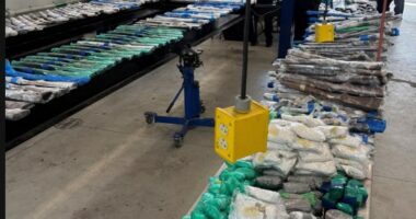 Laredo seized vehicles