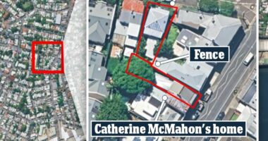 Neighbours at war in one of Sydney's richest suburbs
