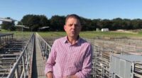 The political future of South Australian MP Nick McBride is hanging in the balance after he was arrested and charged with assaulting his wife.