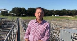 The political future of South Australian MP Nick McBride is hanging in the balance after he was arrested and charged with assaulting his wife.