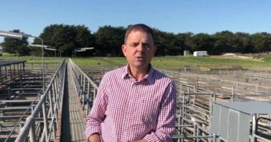 The political future of South Australian MP Nick McBride is hanging in the balance after he was arrested and charged with assaulting his wife.