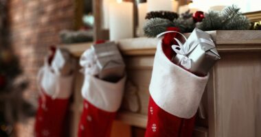New coordinator in Vermilion Co. preparing for holidays with 'Toys for Tots'