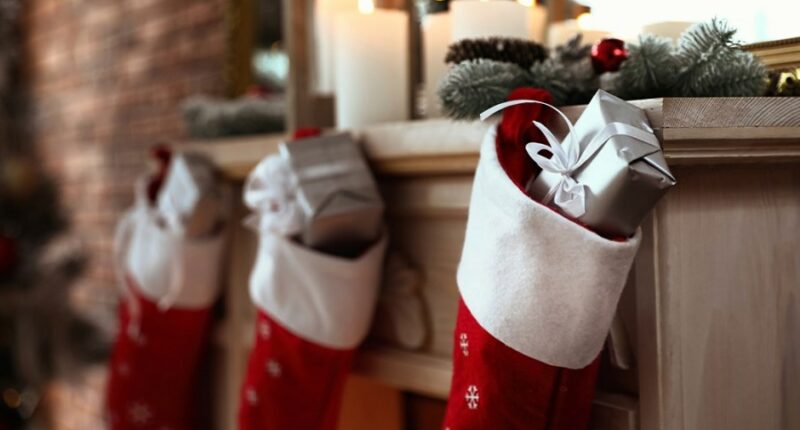 New coordinator in Vermilion Co. preparing for holidays with 'Toys for Tots'