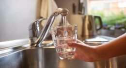 New study detects levels of 'forever chemicals' exceeding EPA limit at USF