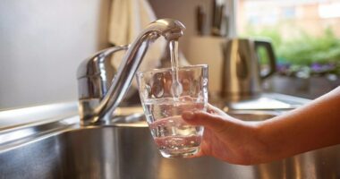 New study detects levels of 'forever chemicals' exceeding EPA limit at USF