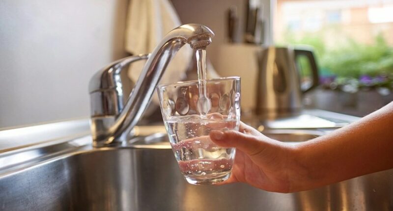 New study detects levels of 'forever chemicals' exceeding EPA limit at USF