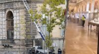 New video purportedly shows Louvre thieves in action during brazen daytime heist